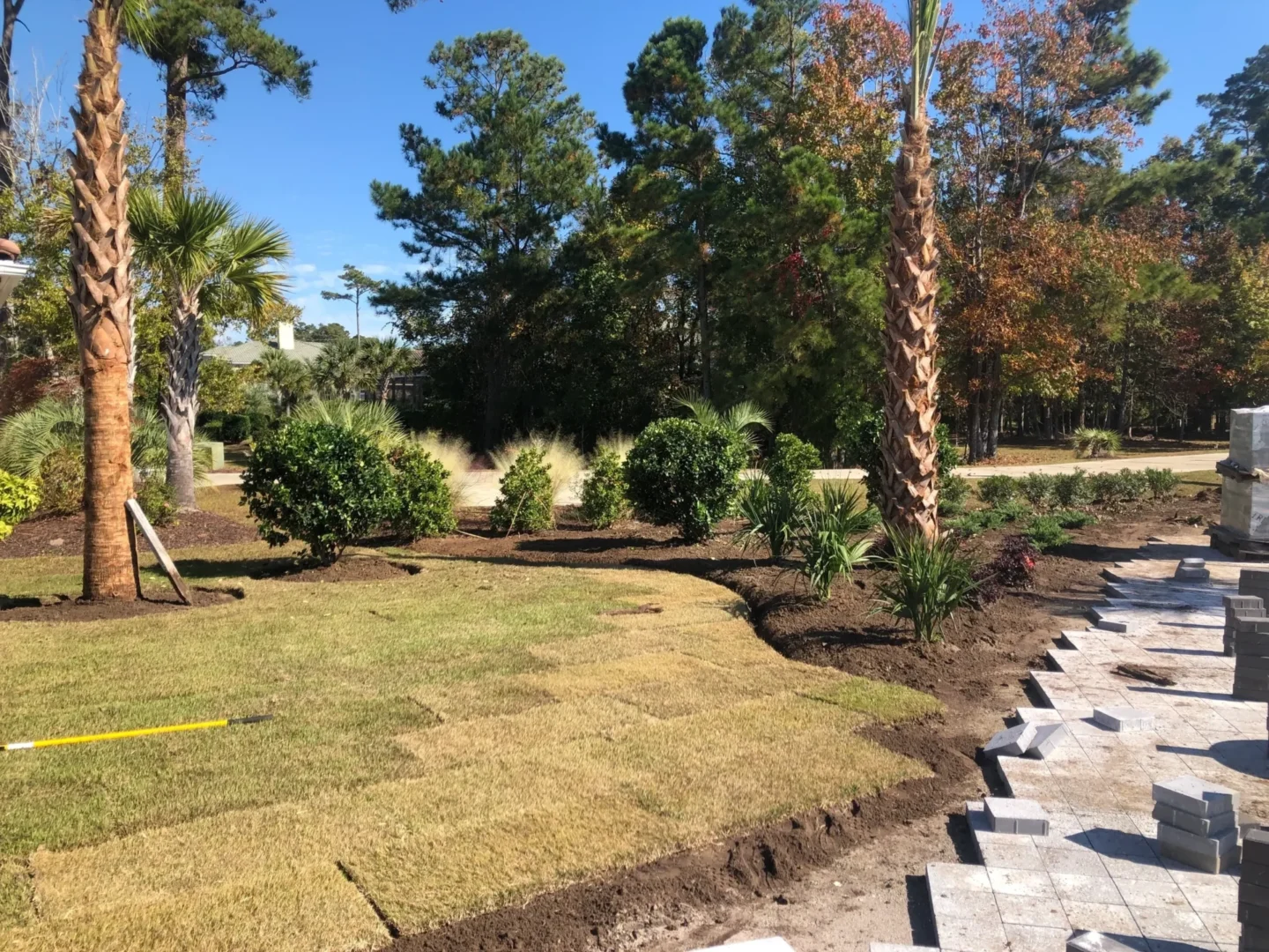 A view of the back yard from across the street.