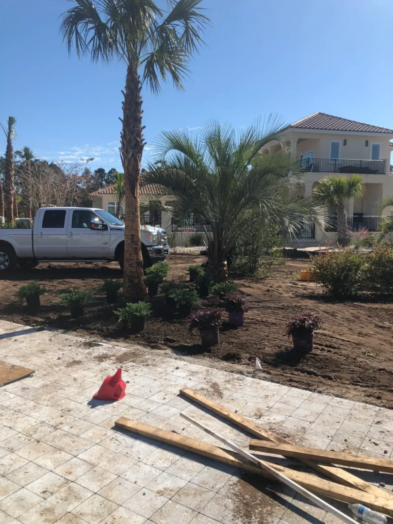 A white truck parked in front of a palm tree.