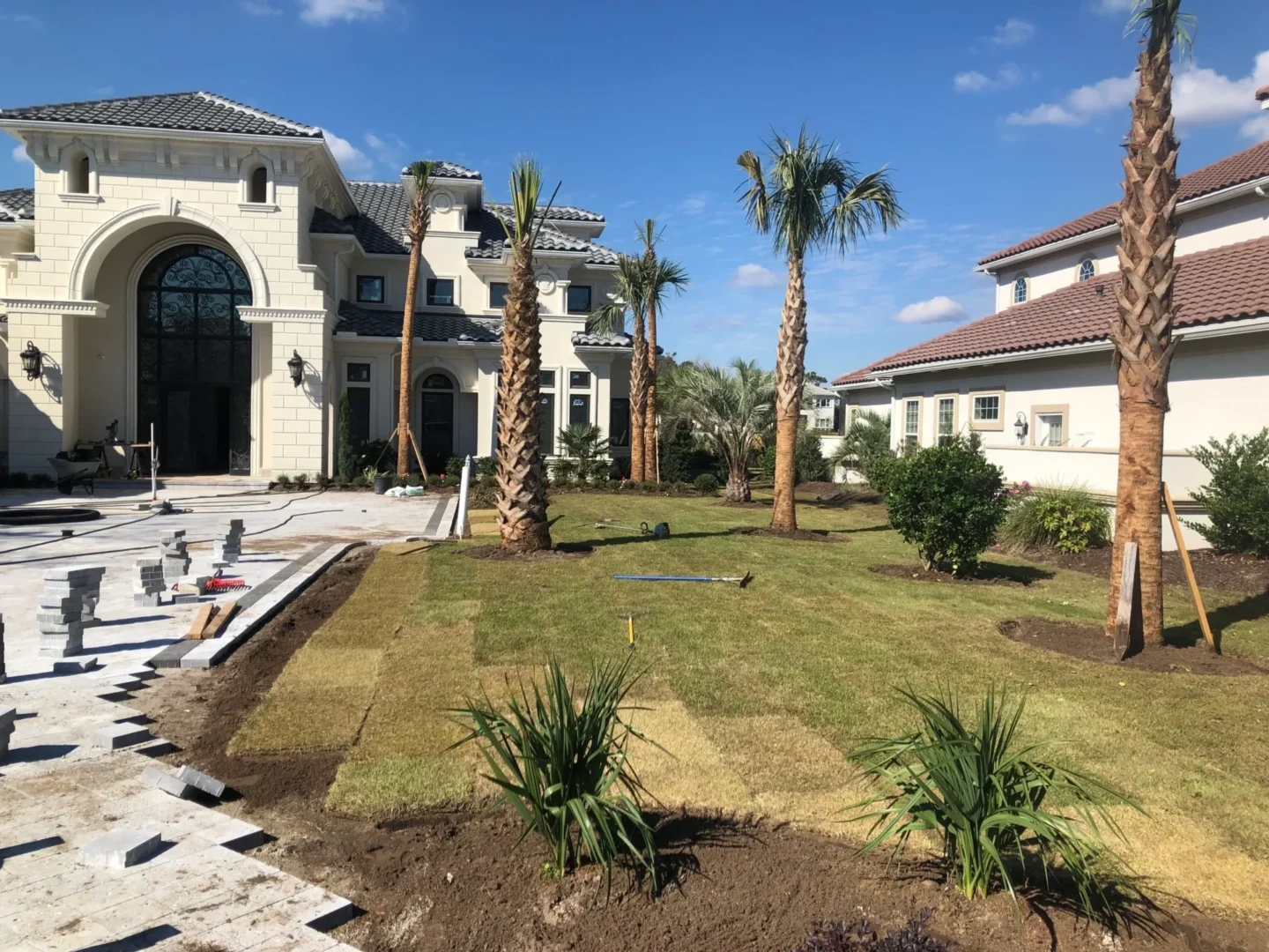 A large yard with palm trees and lots of grass.