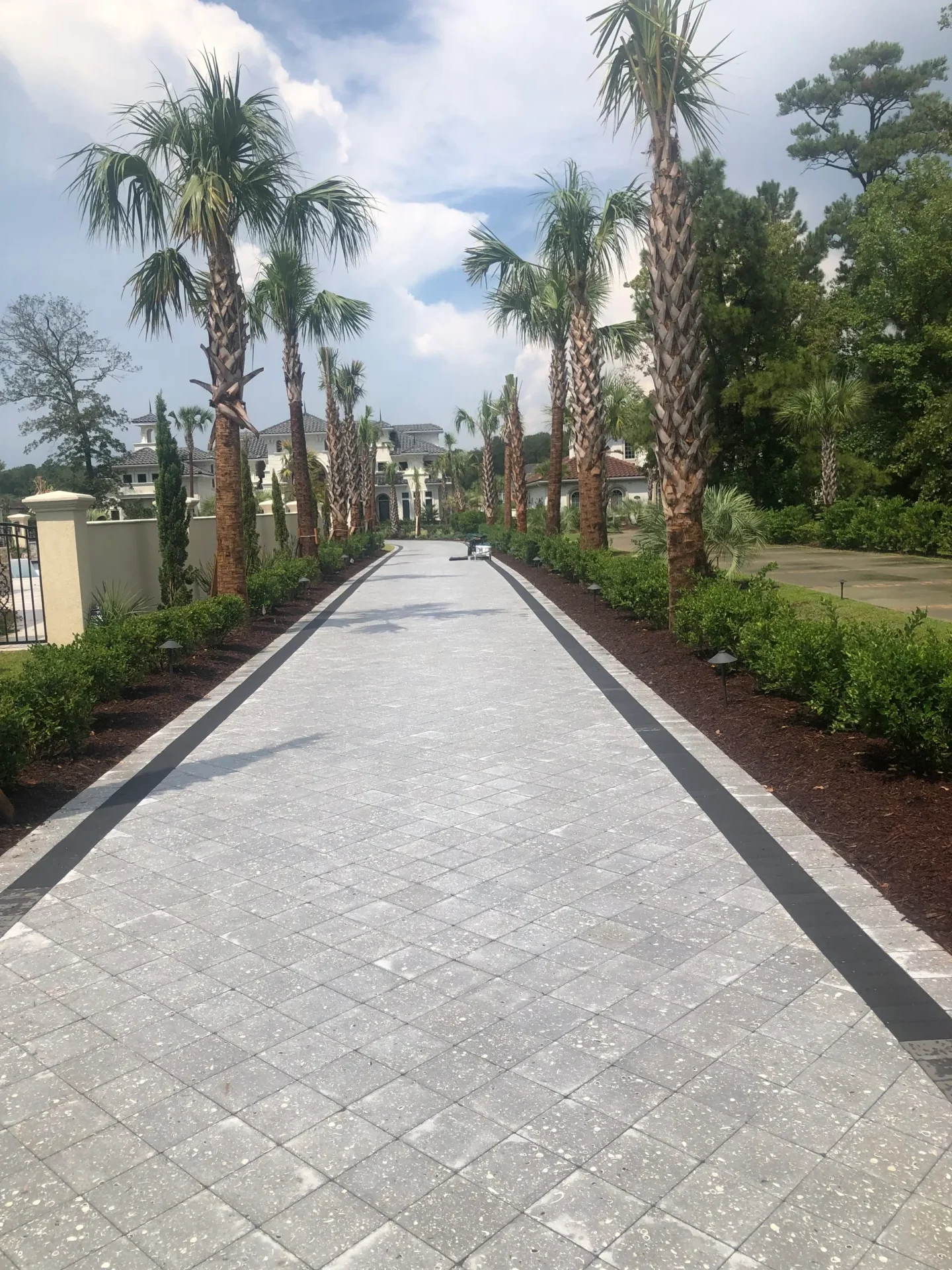 A long paved walkway with palm trees and bushes.