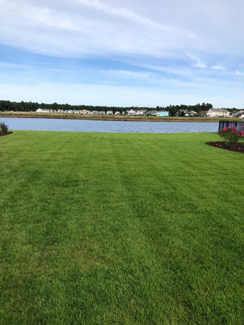 A large green field with water in the background.