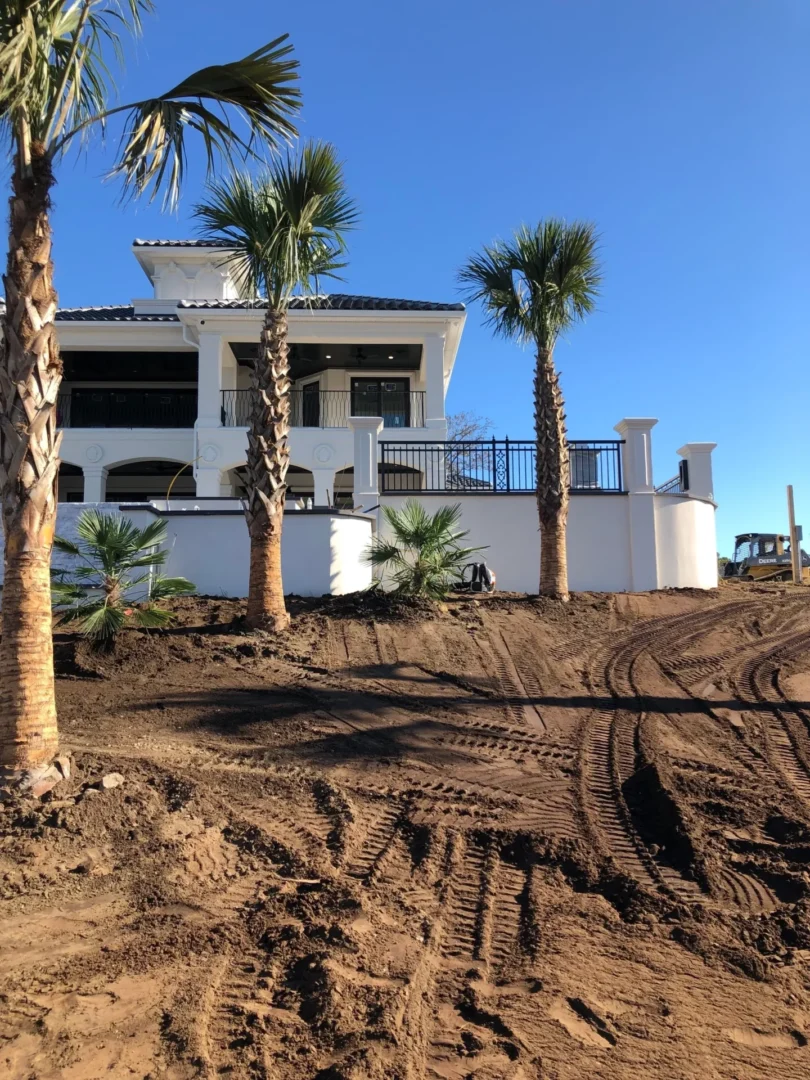 A house with palm trees and dirt on the ground.