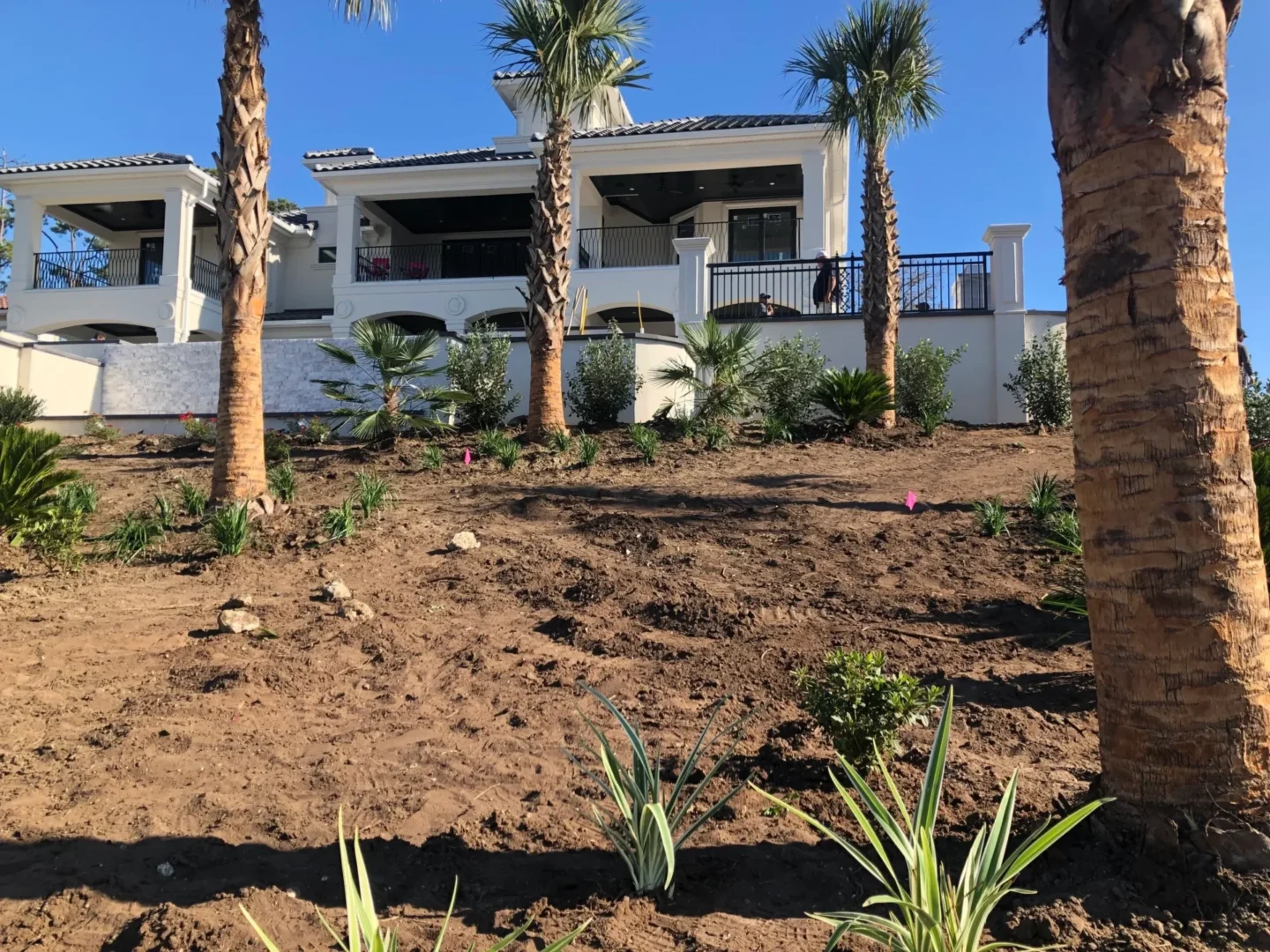 A house with palm trees in the background.