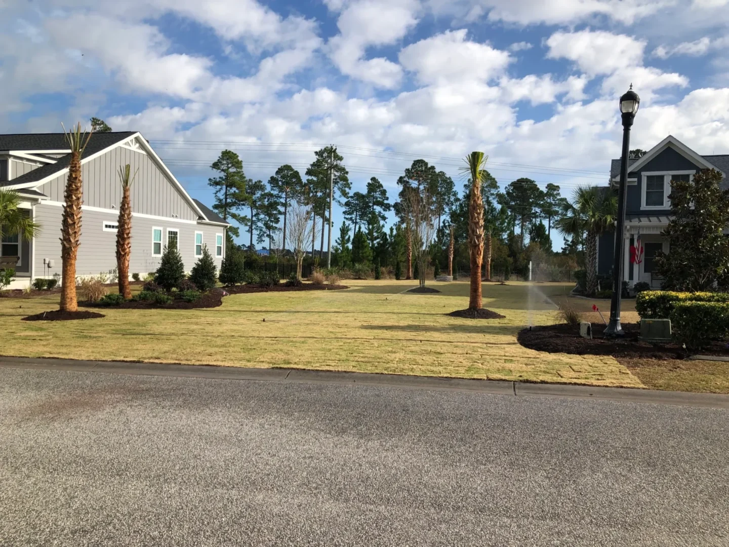 A large yard with trees and a house