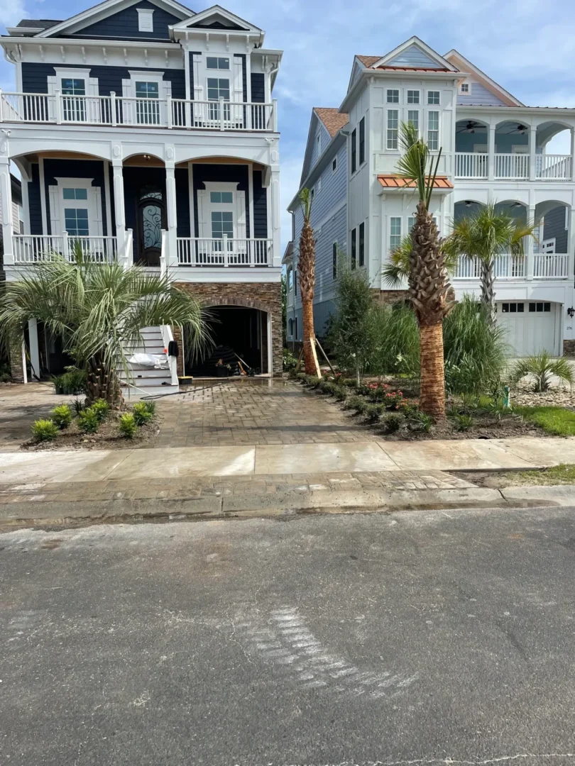 A street with palm trees and houses in the background.