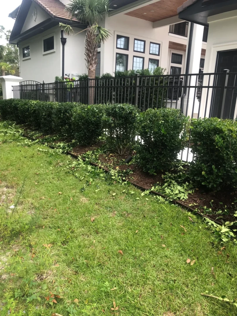 A lawn with grass and bushes in front of it.