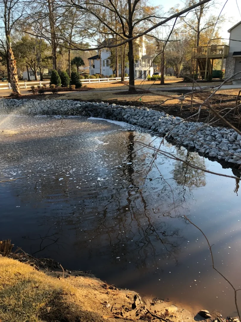 A pond with water running in it near some trees.