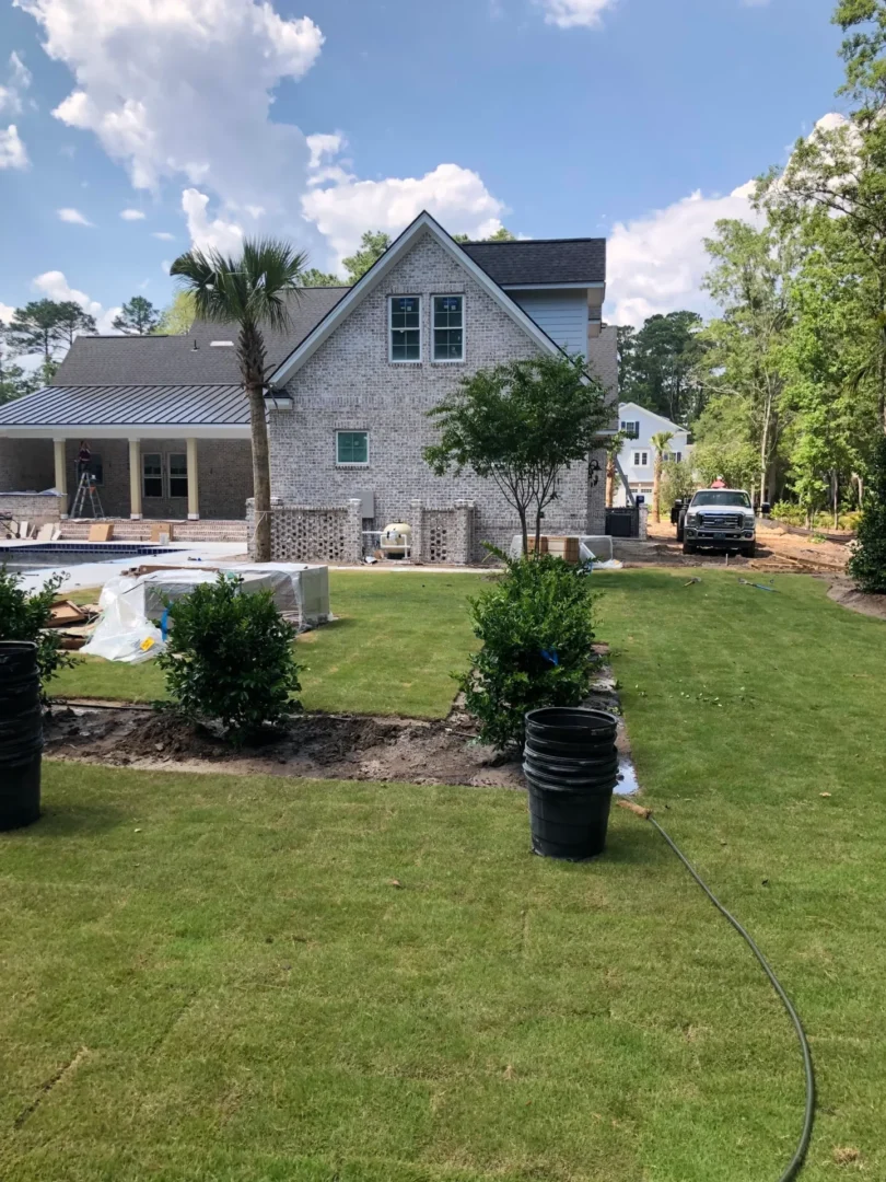 A large yard with trees and bushes in the middle of it.