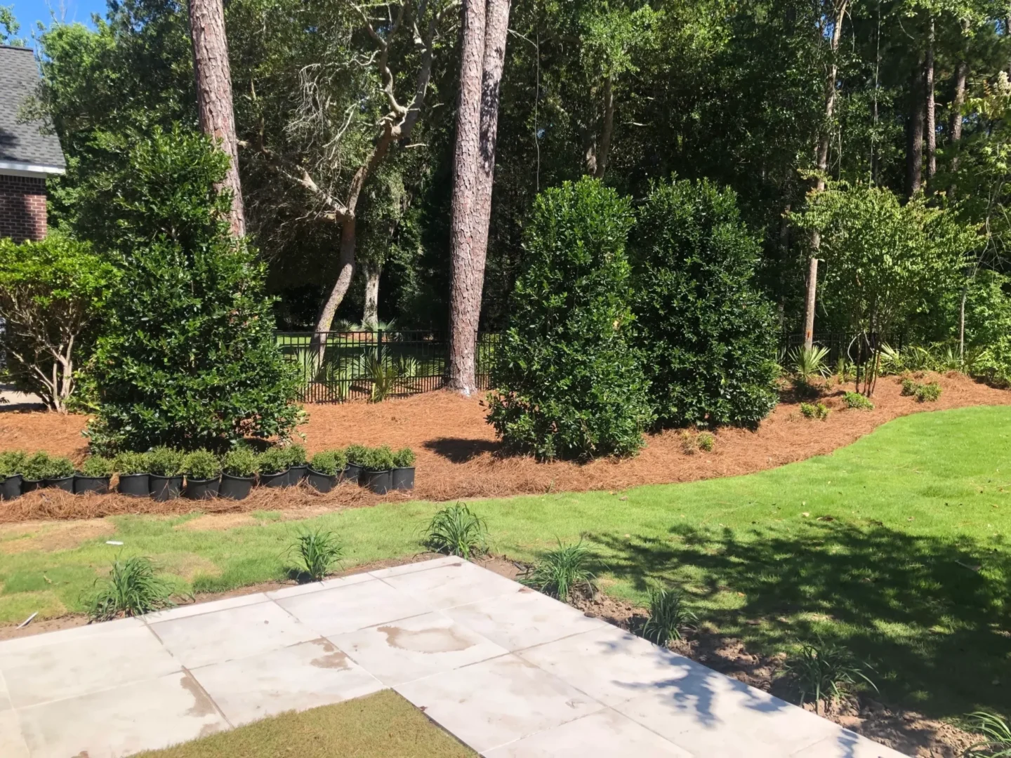 A backyard with trees and bushes in the background.